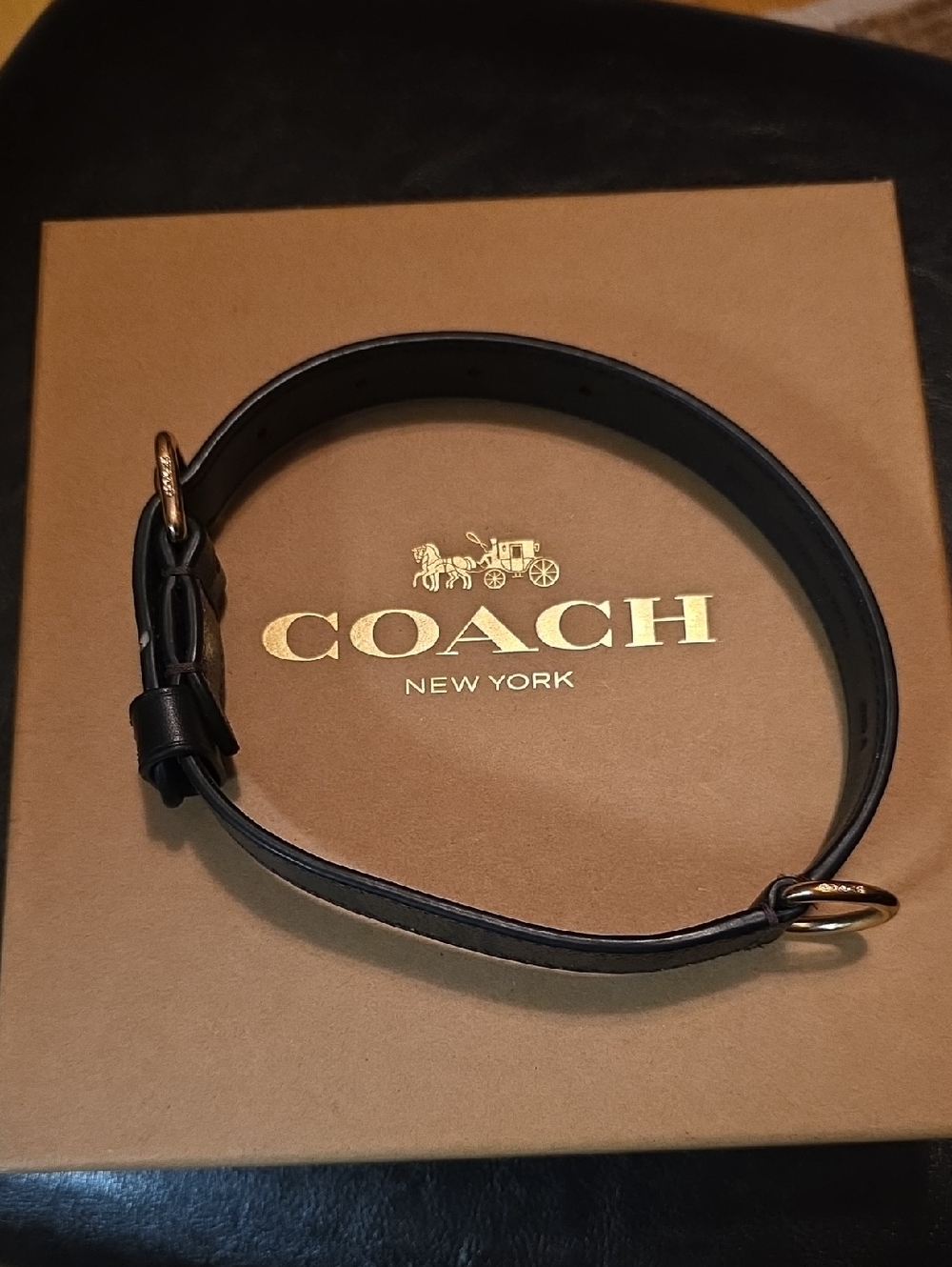 Coach Leather Animal Collar with Gold-Tone Buckle